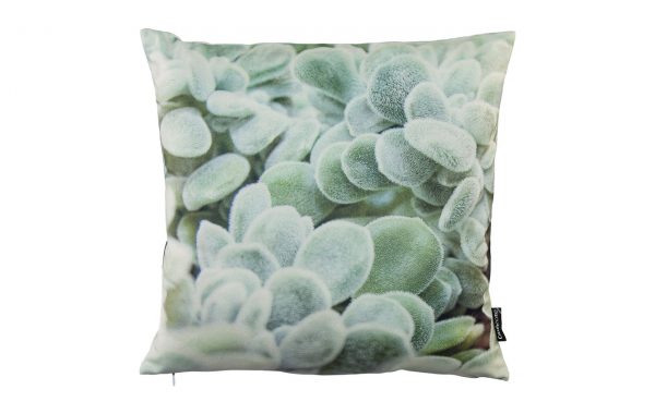 Velvet cushion SUKKULENT