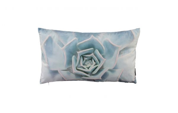 Velvet cushion CACTUS