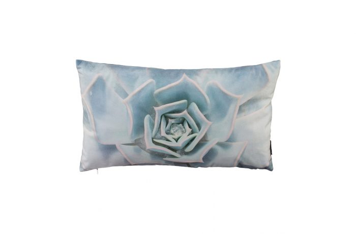 Velvet cushion CACTUS