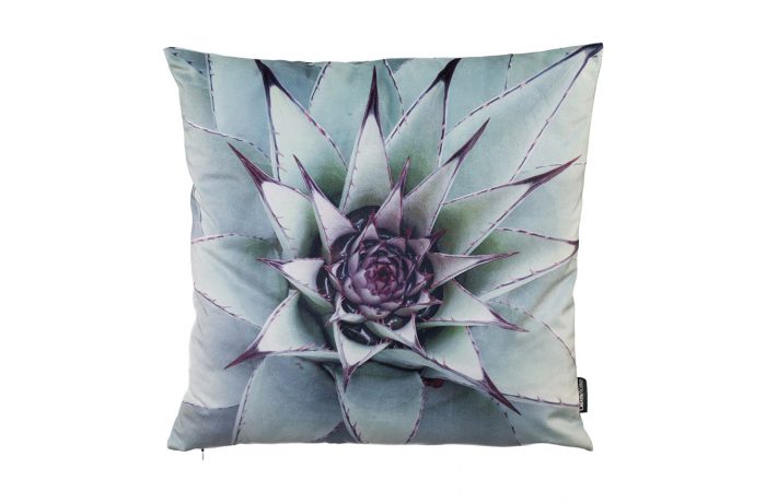 Velvet cushion CACTUS