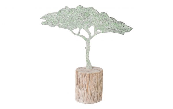 Baobab AFRICAN SUMMER