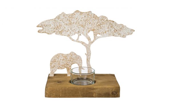 Baobab AFRICAN SUMMER