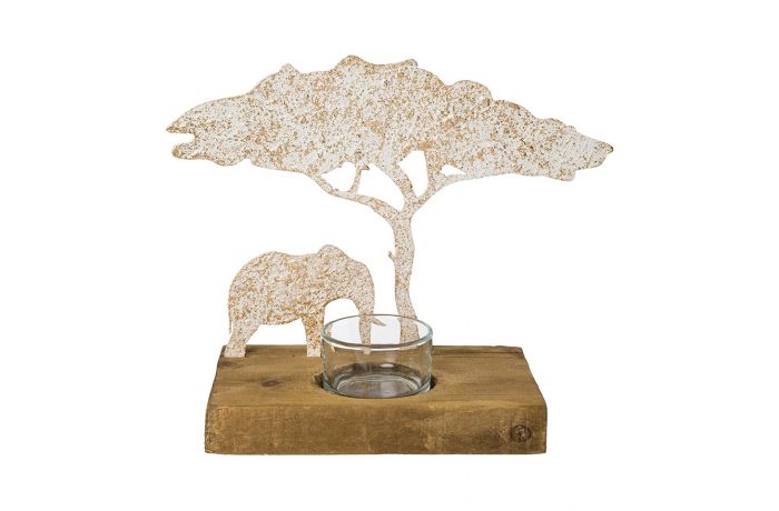 Baobab AFRICAN SUMMER