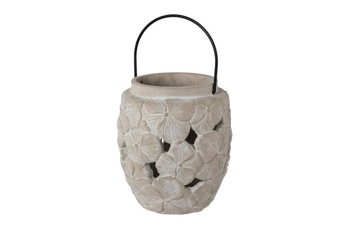 Lantern HYDRANGEA
