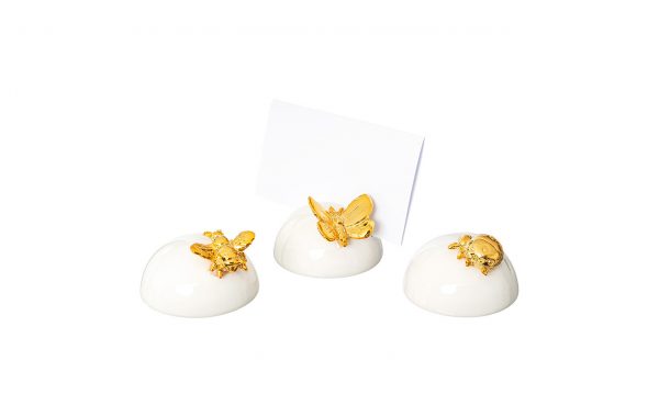 Cardholder with Insect